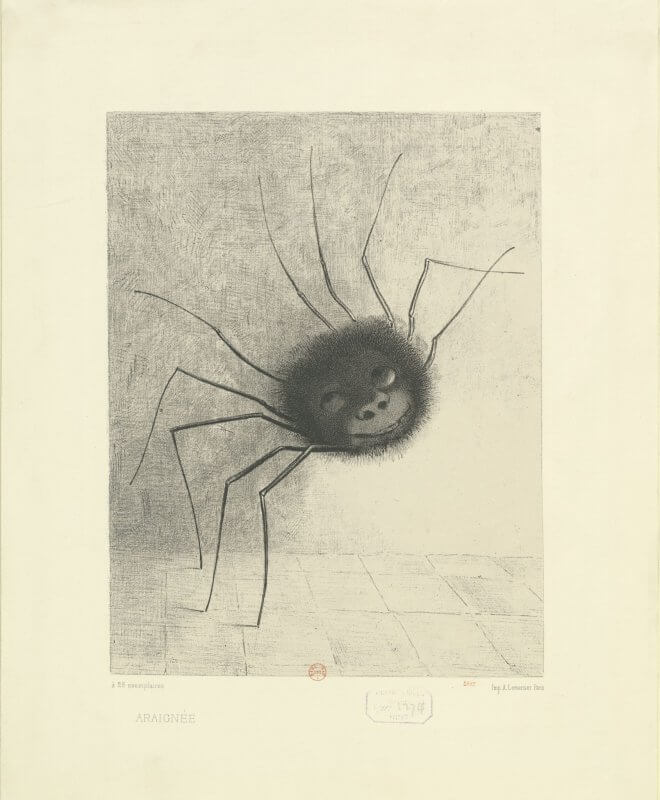 Il Y a Une Araignée Qui a Une Toile Et N'a Pas D'yeux Illustration Stock -  Illustration du miroiter, scintillement: 282081857
